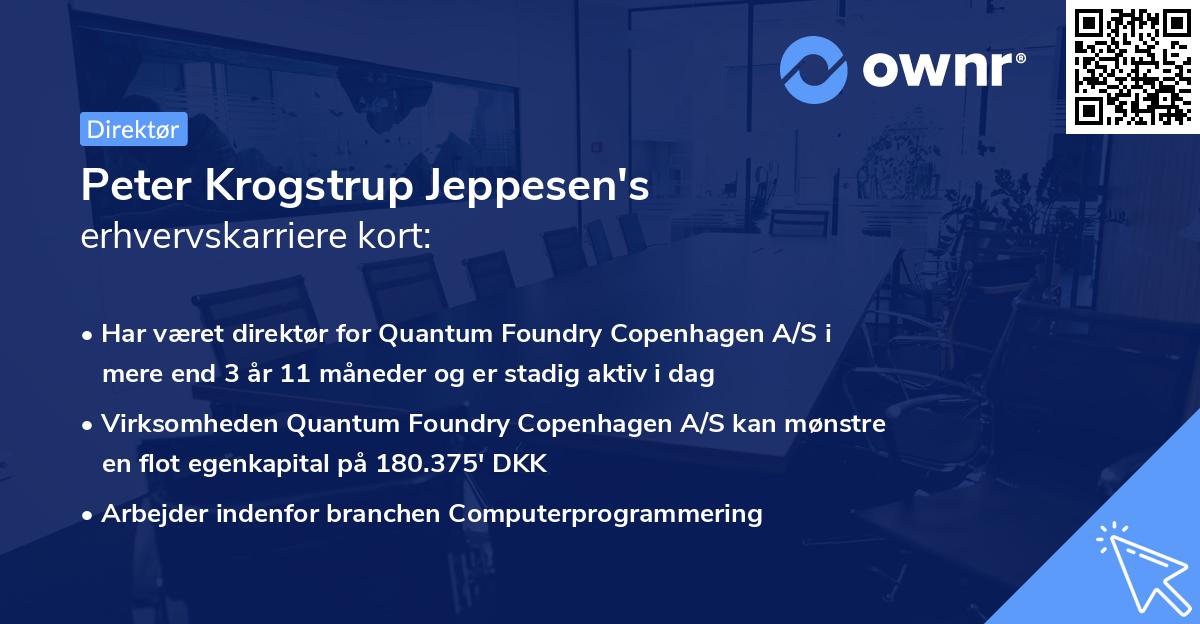 Peter Krogstrup Jeppesen's erhvervskarriere kort