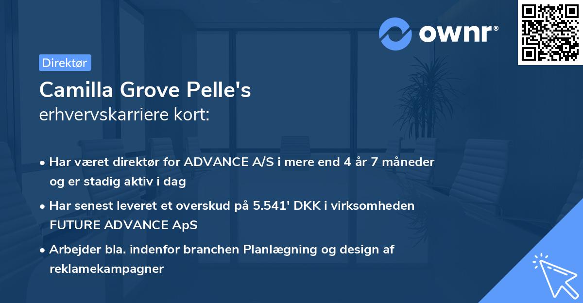 Camilla Grove Pelle's erhvervskarriere kort