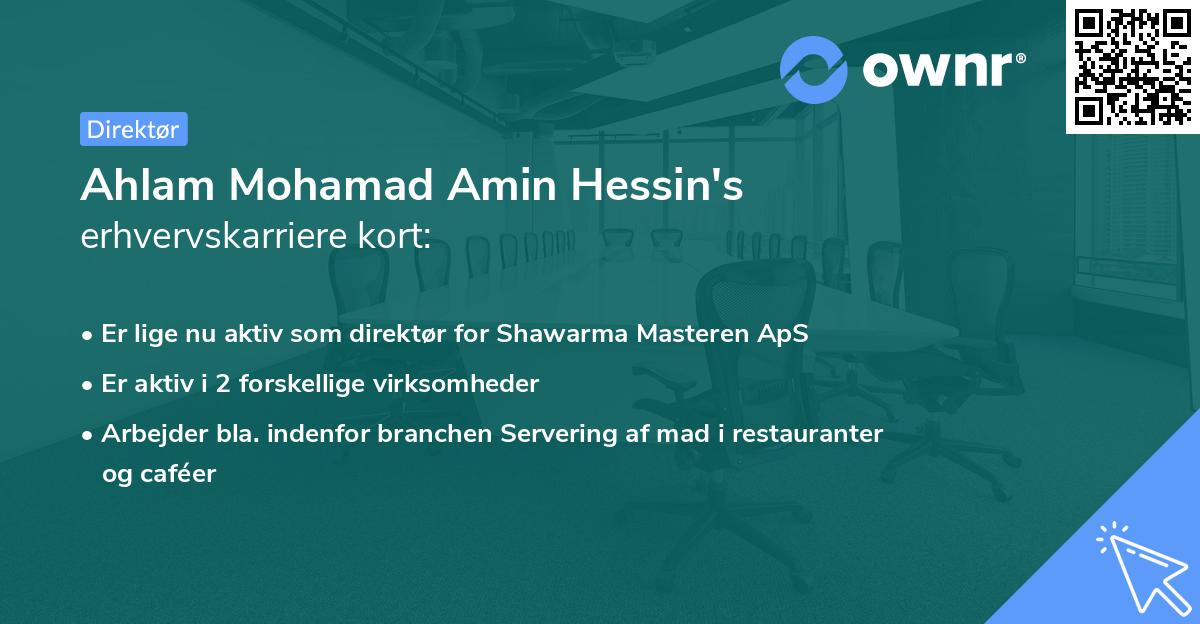 Ahlam Mohamad Amin Hessin's erhvervskarriere kort
