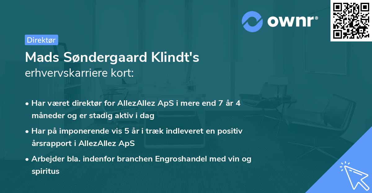 Mads Søndergaard Klindt's erhvervskarriere kort