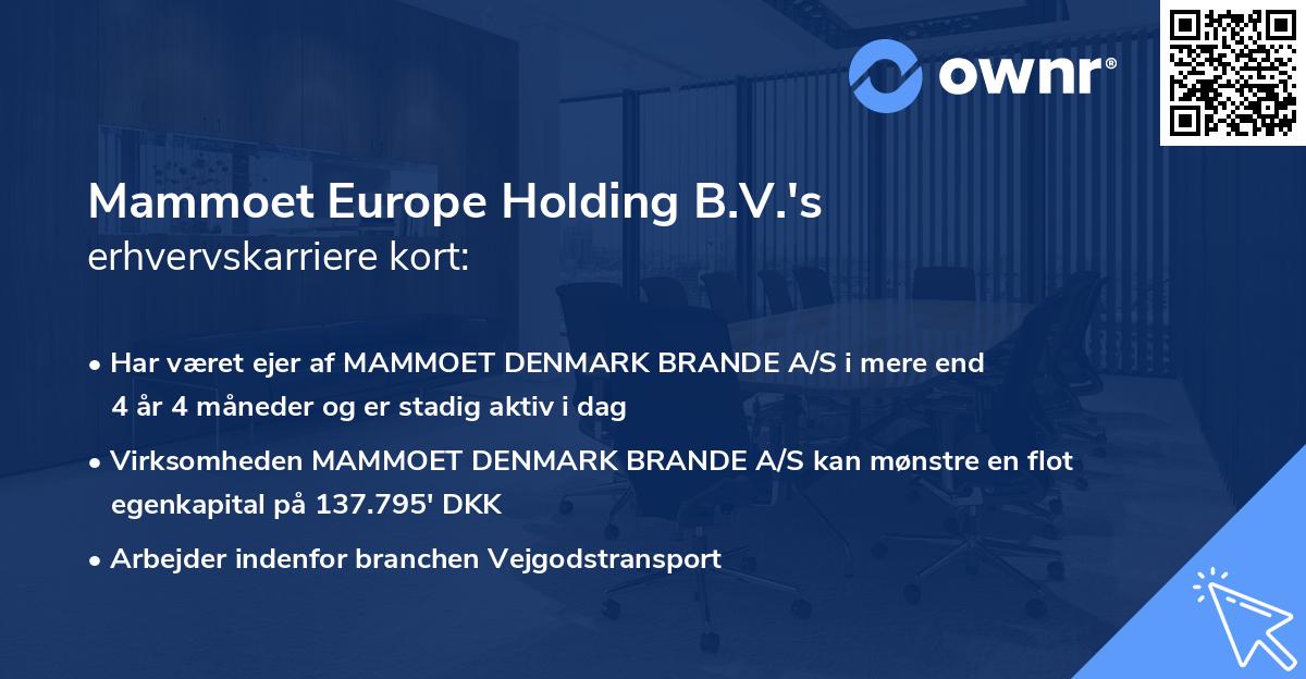 Mammoet Europe Holding B.V.'s erhvervskarriere kort