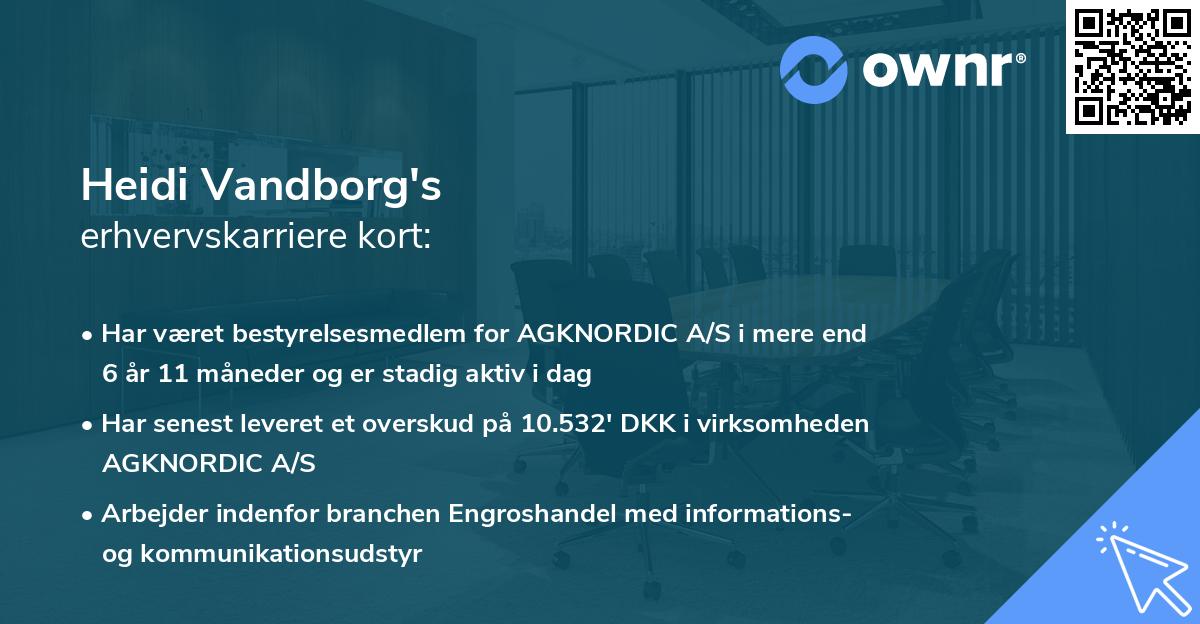 Heidi Vandborg's erhvervskarriere kort