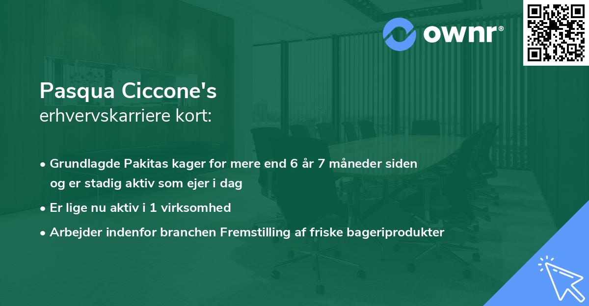 Pasqua Ciccone's erhvervskarriere kort