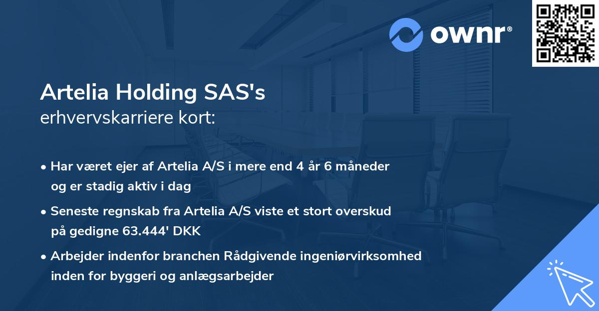 Artelia Holding SAS's erhvervskarriere kort