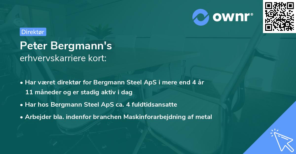 Peter Bergmann's erhvervskarriere kort