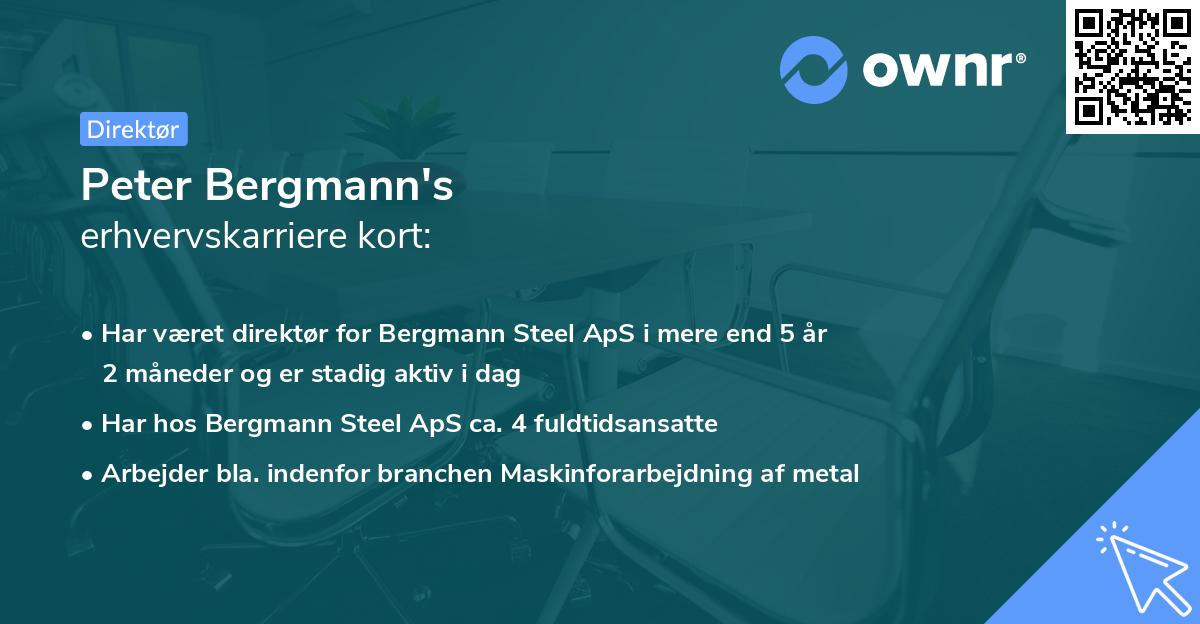 Peter Bergmann's erhvervskarriere kort