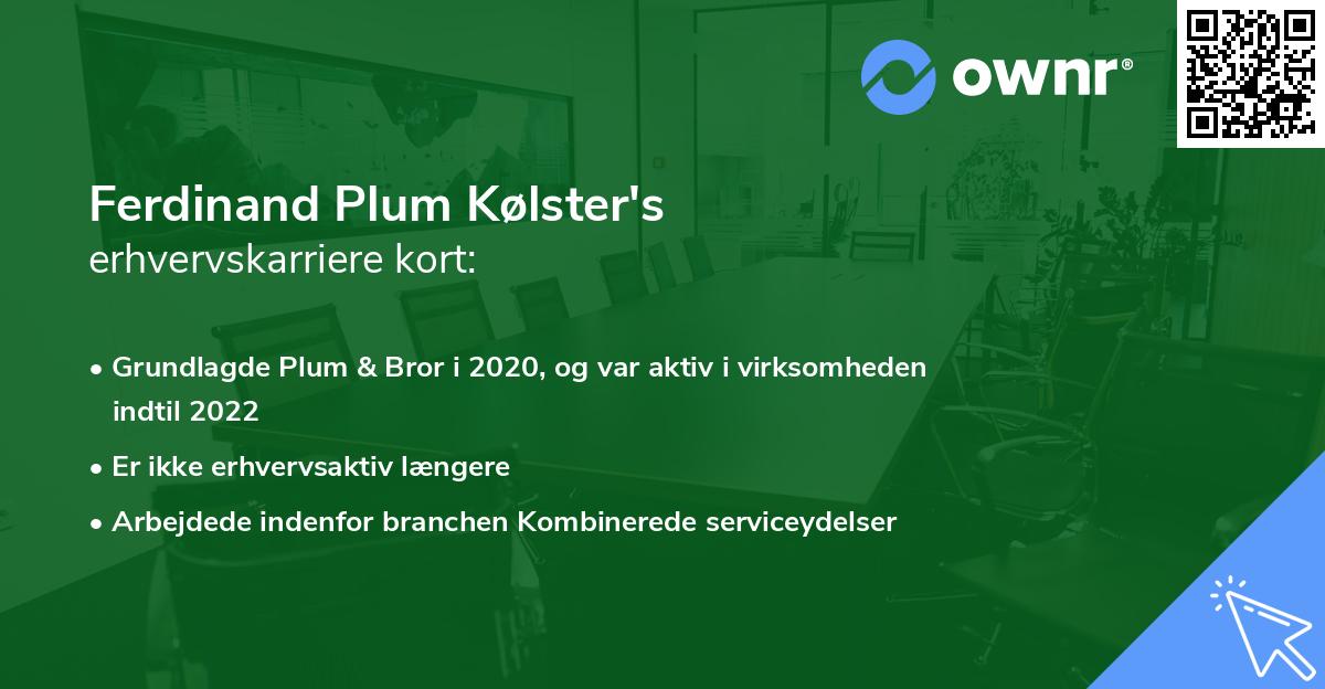 Ferdinand Plum Kølster's erhvervskarriere kort