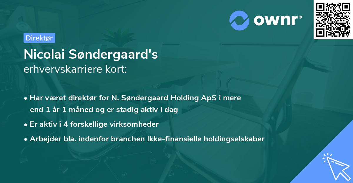 Nicolai Søndergaard's erhvervskarriere kort