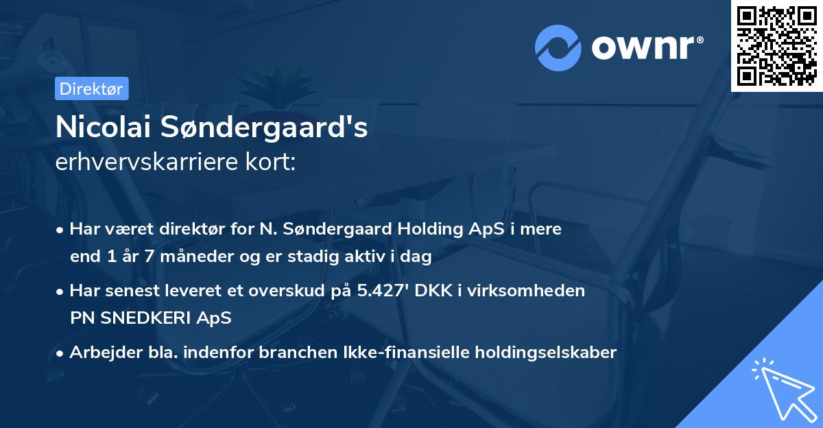 Nicolai Søndergaard's erhvervskarriere kort