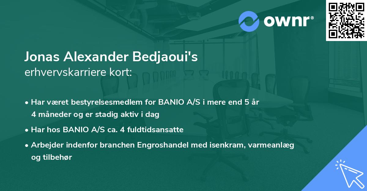 Jonas Alexander Bedjaoui's erhvervskarriere kort