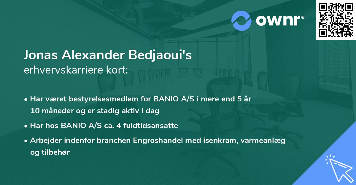 Jonas Alexander Bedjaoui's erhvervskarriere kort