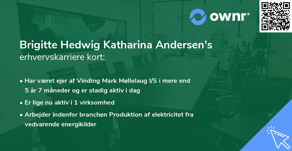 Brigitte Hedwig Katharina Andersen's erhvervskarriere kort
