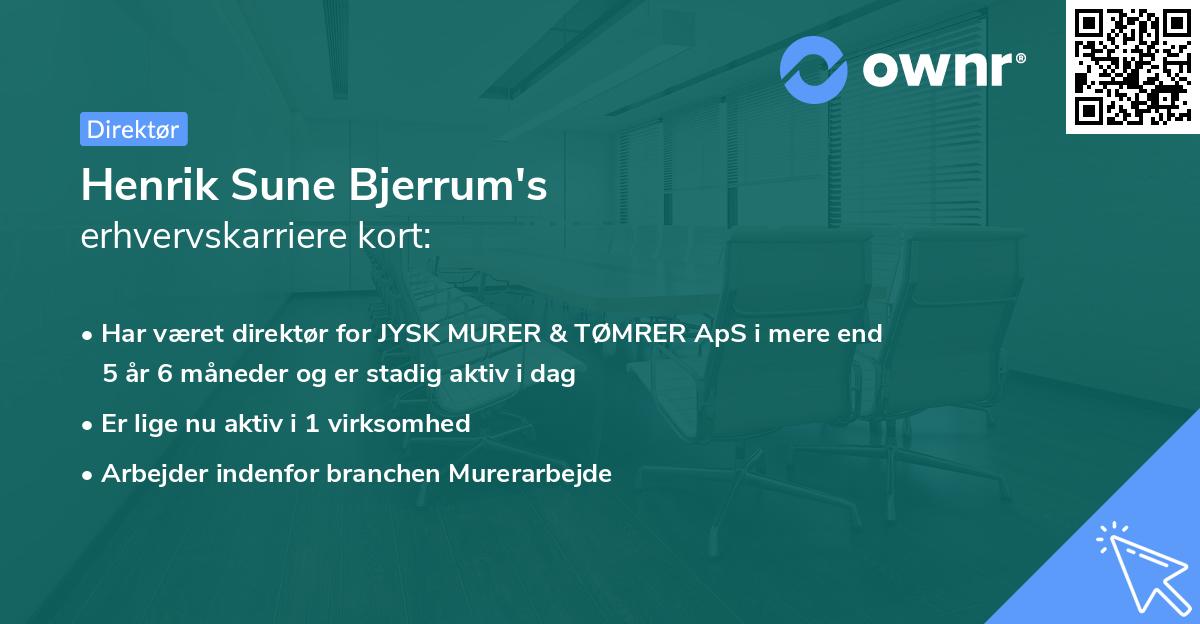 Henrik Sune Bjerrum's erhvervskarriere kort