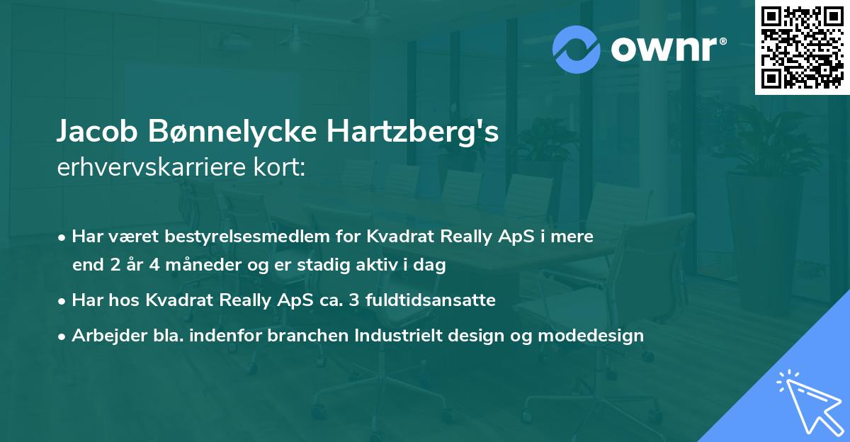 Jacob Bønnelycke Hartzberg's erhvervskarriere kort