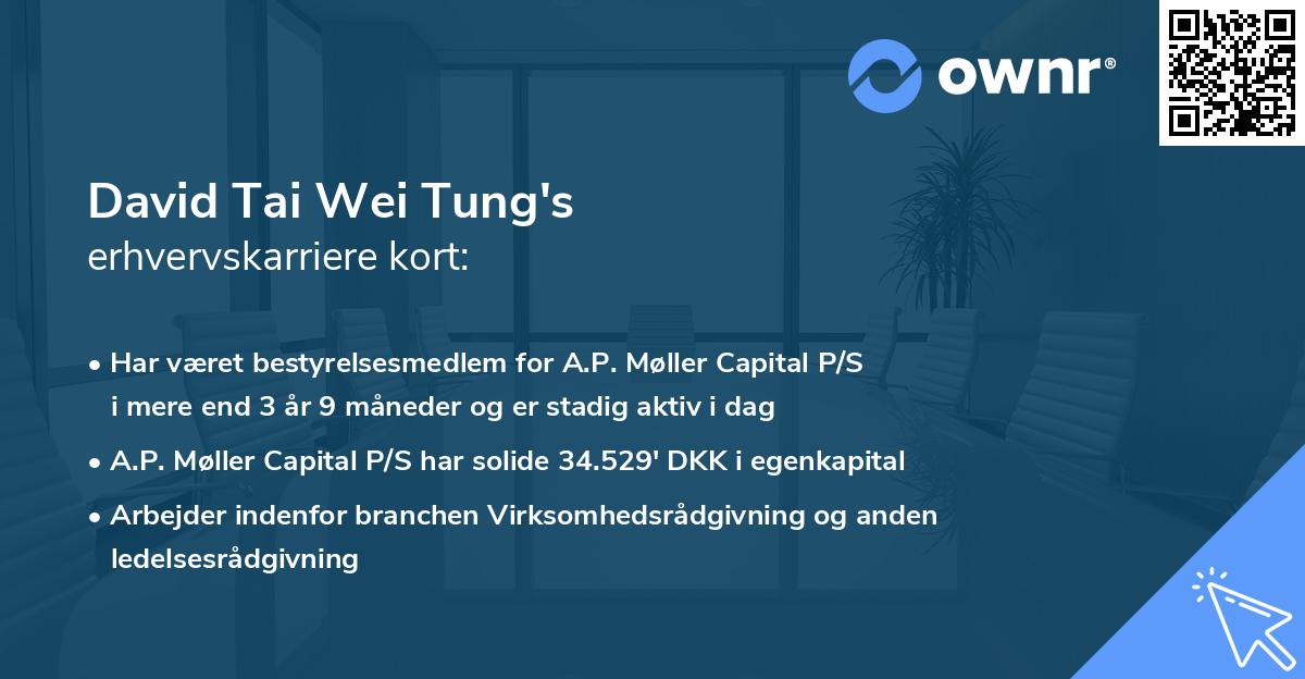 David Tai Wei Tung's erhvervskarriere kort