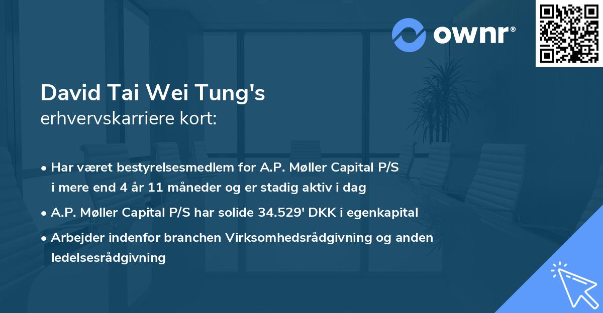 David Tai Wei Tung's erhvervskarriere kort