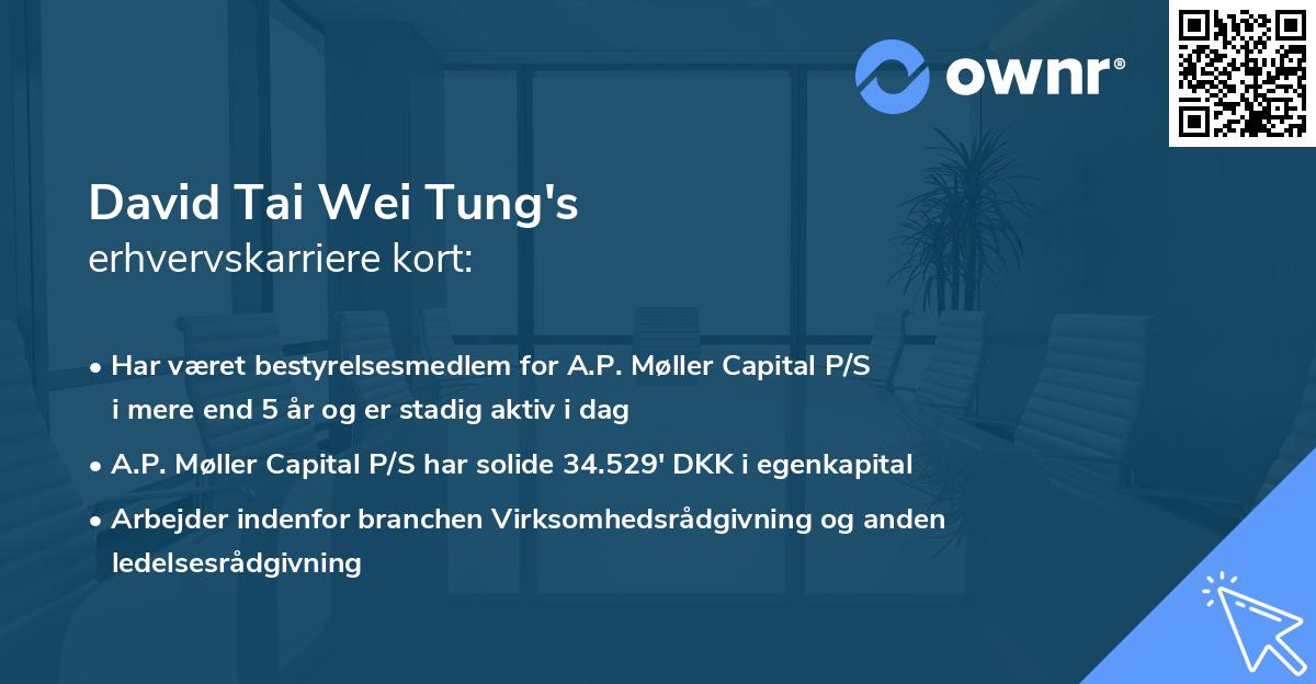 David Tai Wei Tung's erhvervskarriere kort