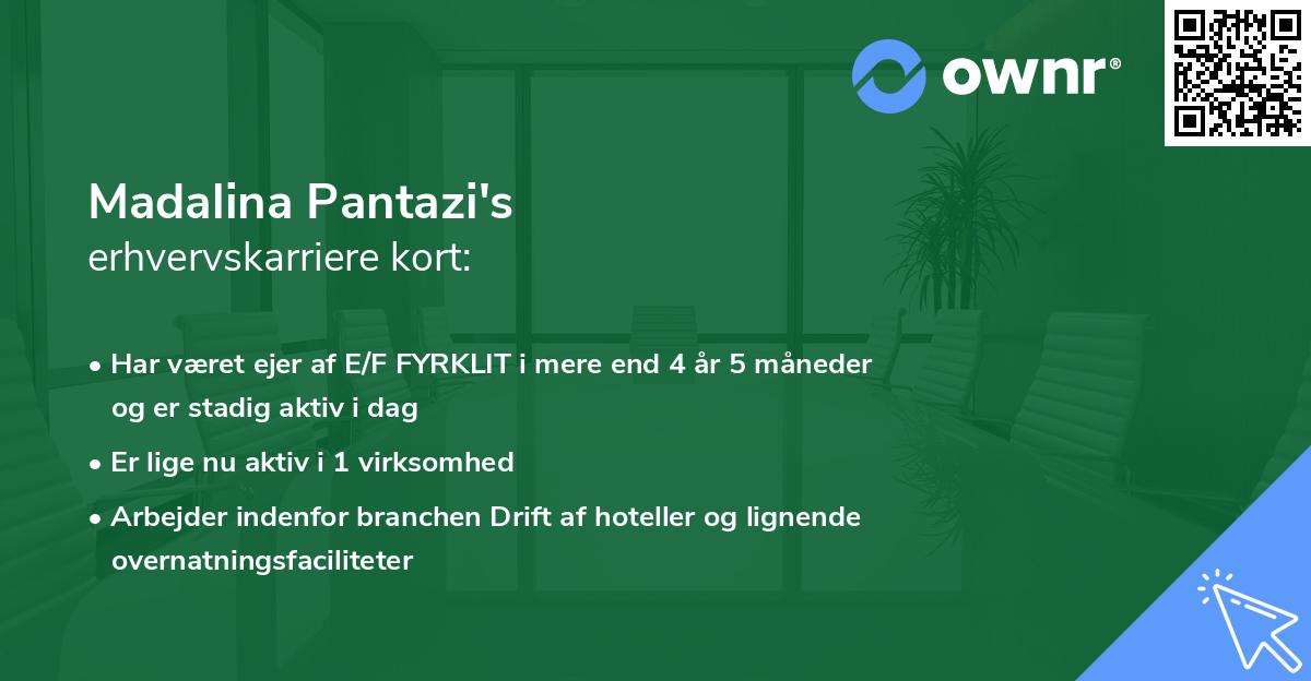 Madalina Pantazi's erhvervskarriere kort