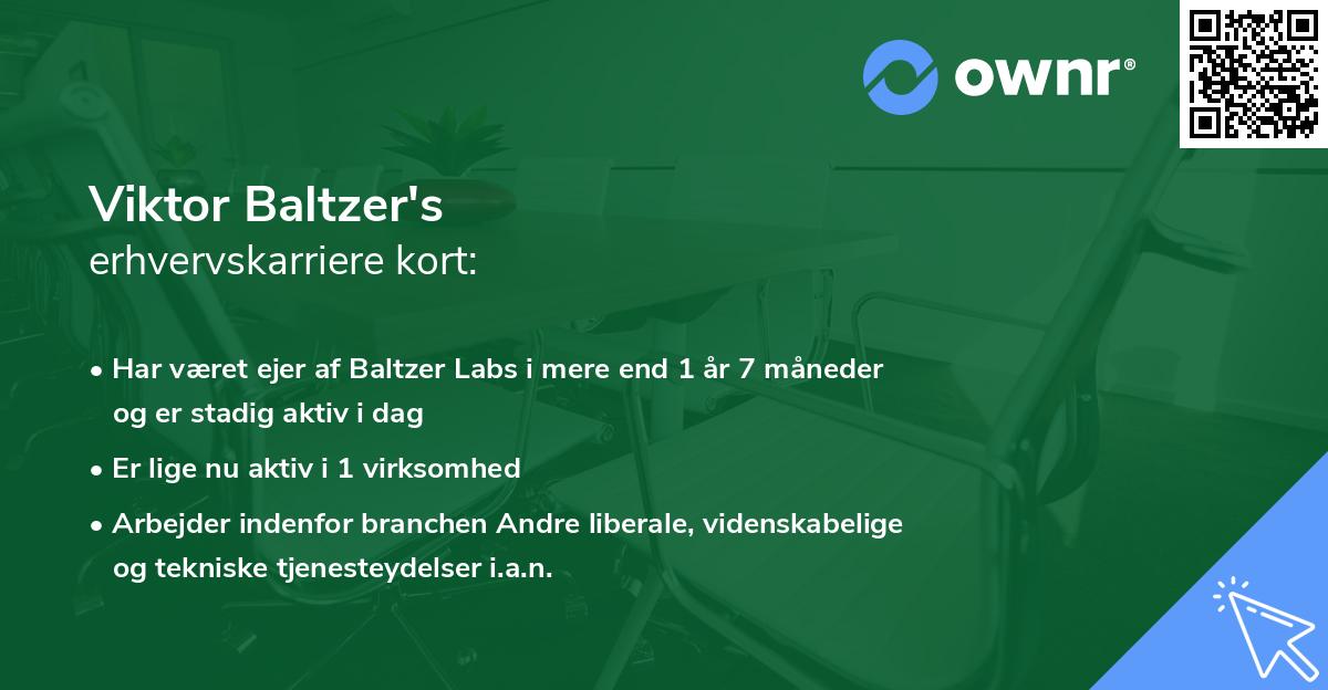 Viktor Baltzer's erhvervskarriere kort