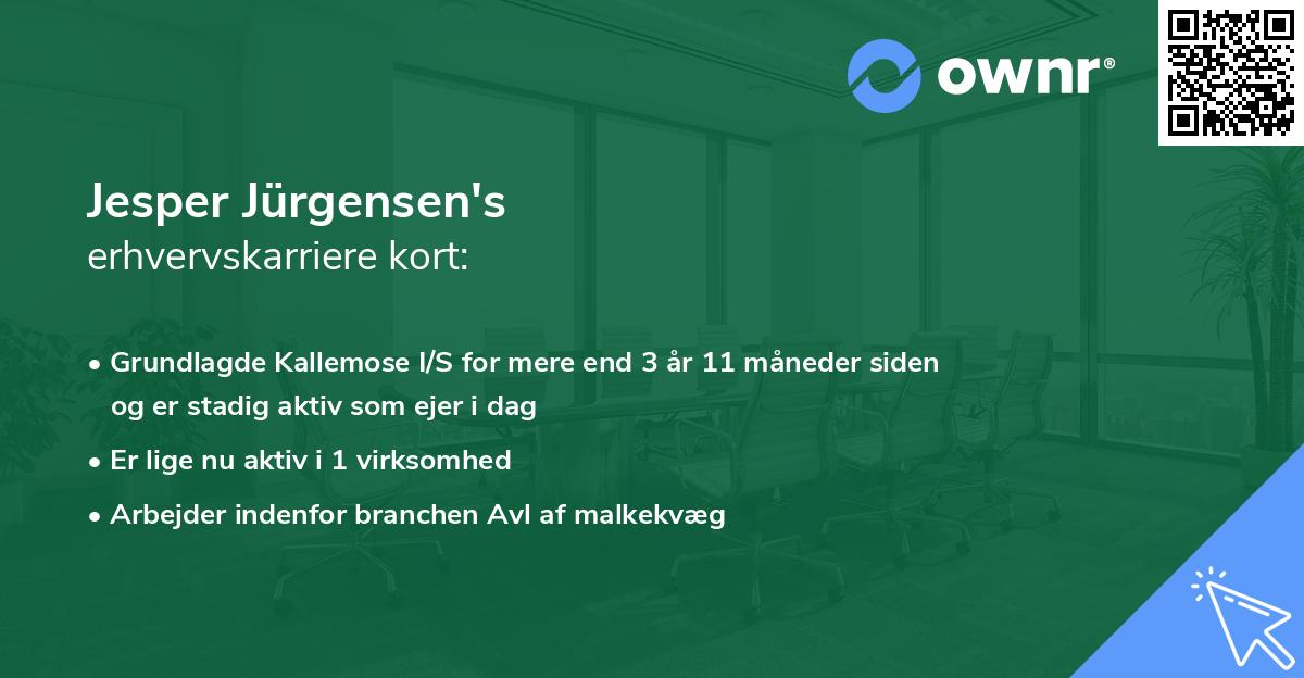 Jesper Jürgensen's erhvervskarriere kort
