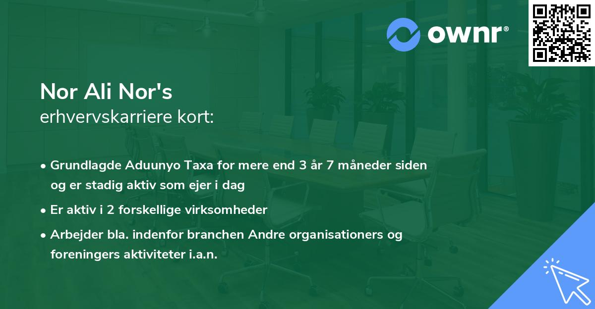 Nor Ali Nor's erhvervskarriere kort