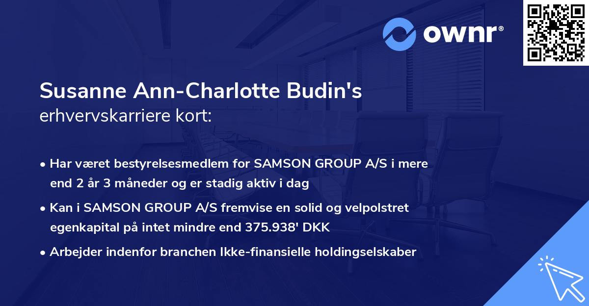 Susanne Ann-Charlotte Budin's erhvervskarriere kort