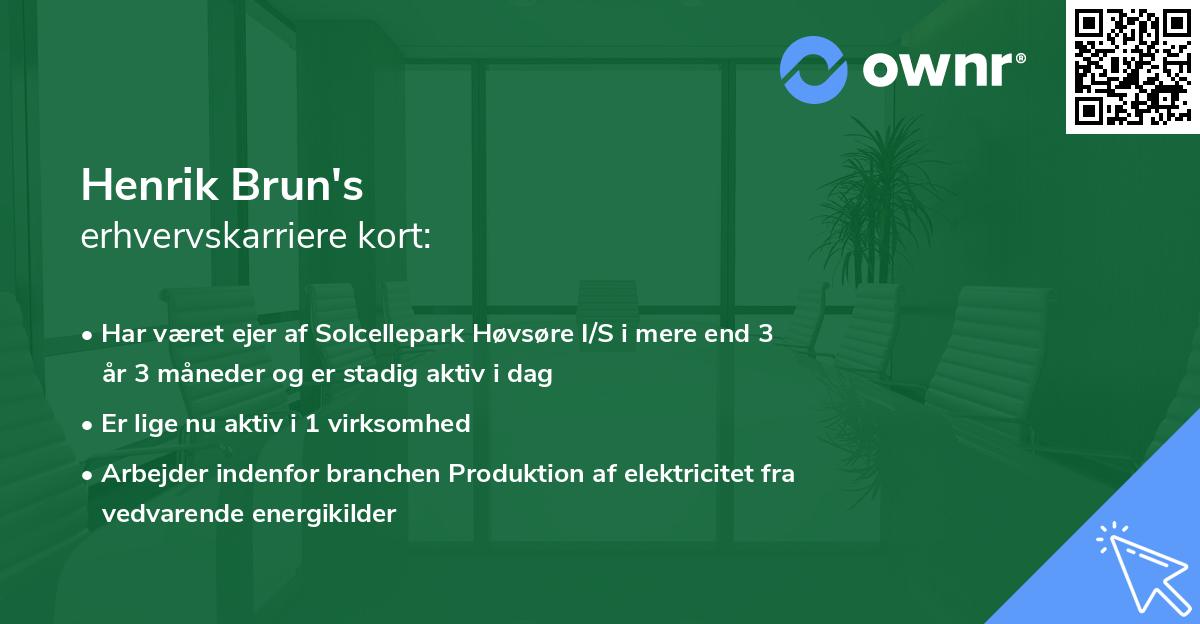 Henrik Brun's erhvervskarriere kort