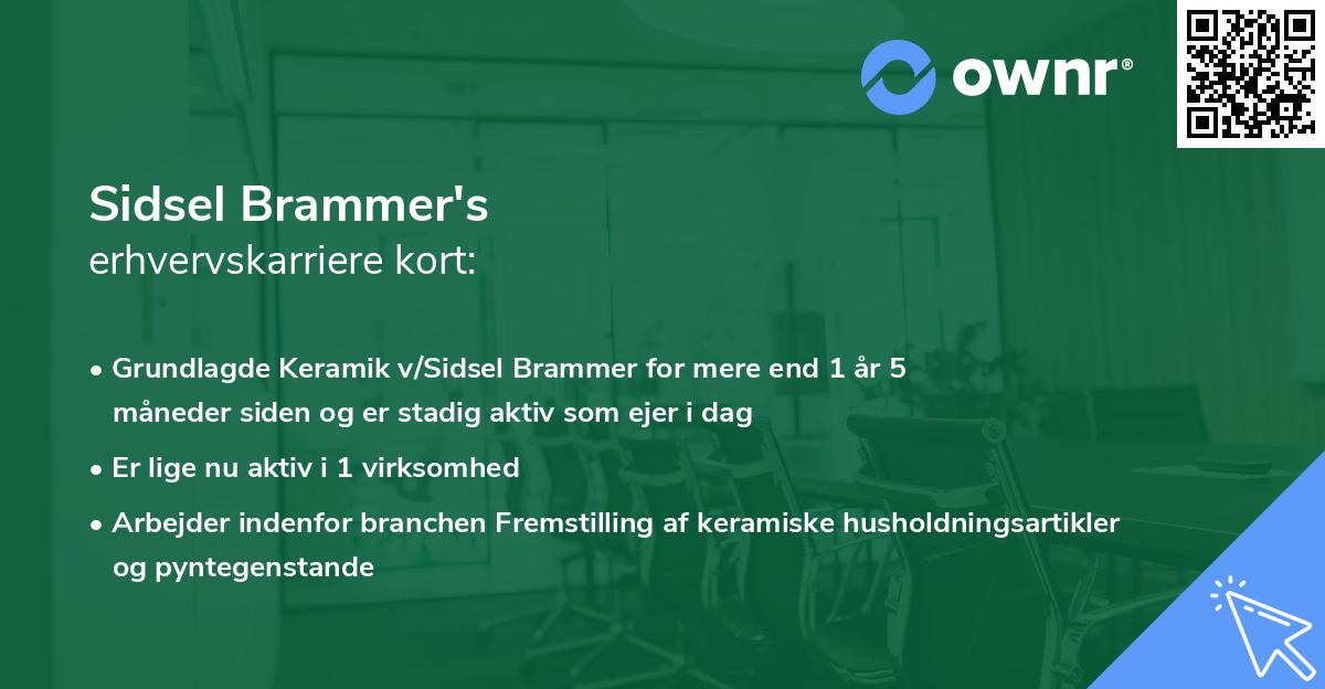 Sidsel Brammer's erhvervskarriere kort