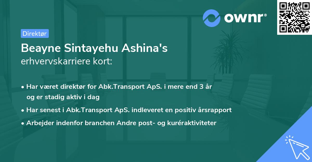 Beayne Sintayehu Ashina's erhvervskarriere kort