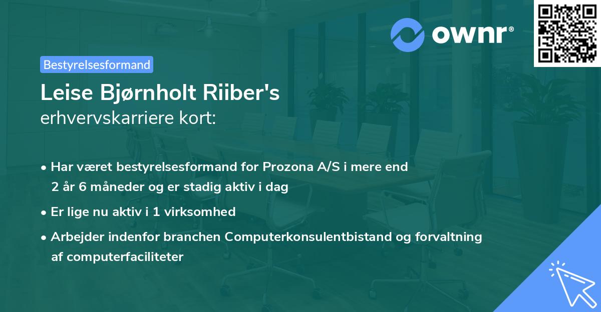 Leise Bjørnholt Riiber's erhvervskarriere kort