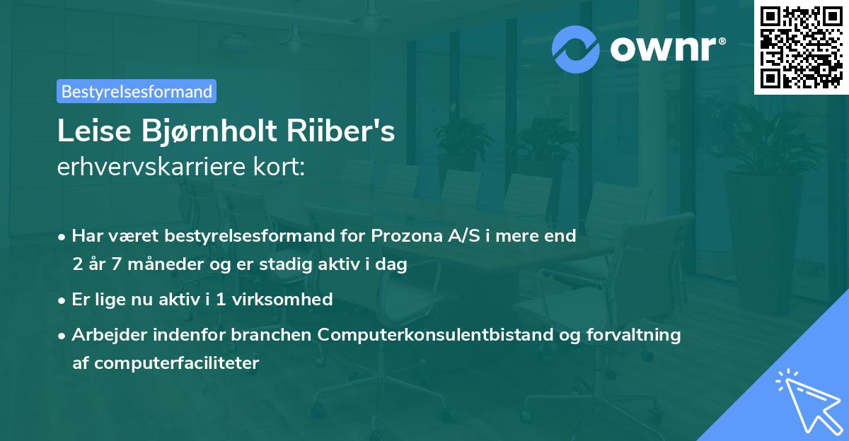 Leise Bjørnholt Riiber's erhvervskarriere kort