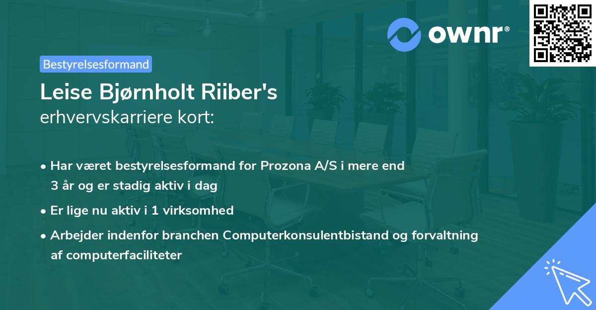 Leise Bjørnholt Riiber's erhvervskarriere kort