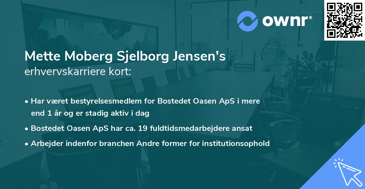 Mette Moberg Sjelborg Jensen's erhvervskarriere kort
