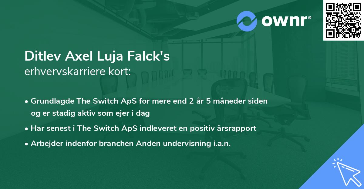 Ditlev Axel Luja Falck's erhvervskarriere kort