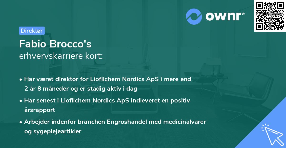 Fabio Brocco's erhvervskarriere kort