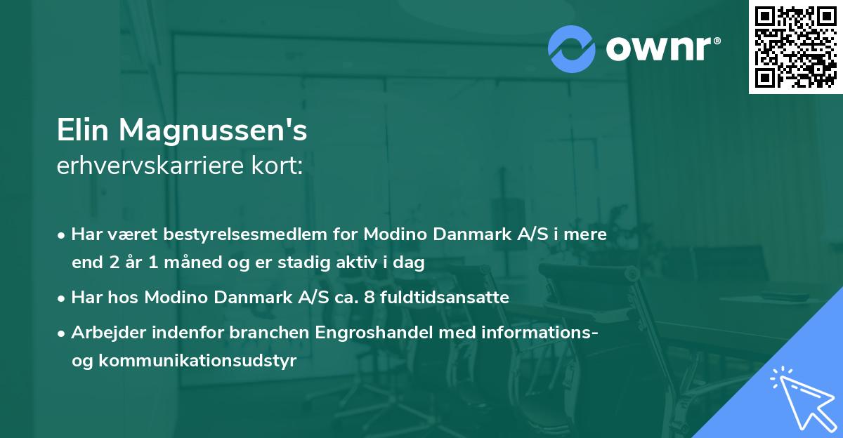 Elin Magnussen's erhvervskarriere kort