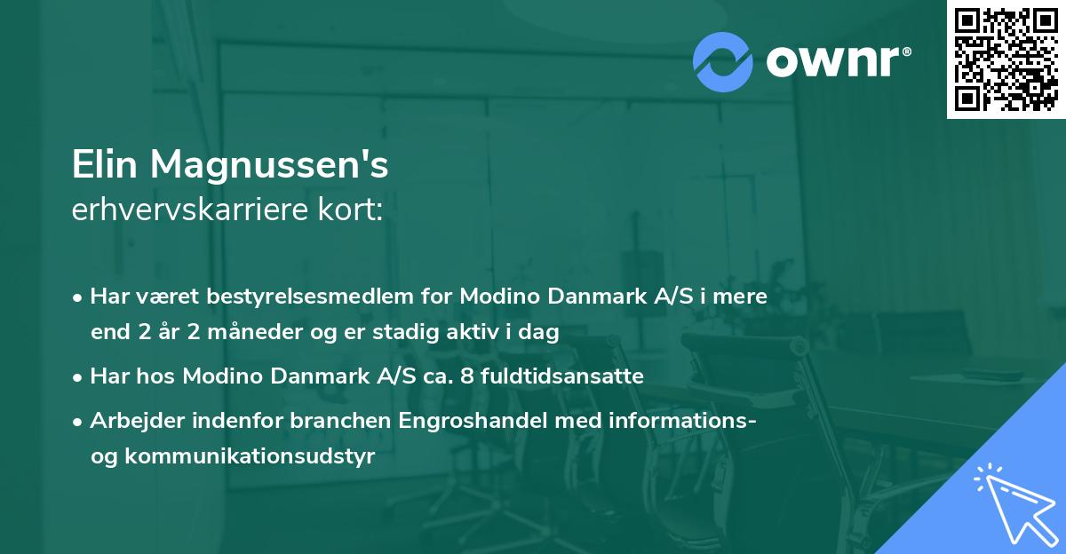 Elin Magnussen's erhvervskarriere kort