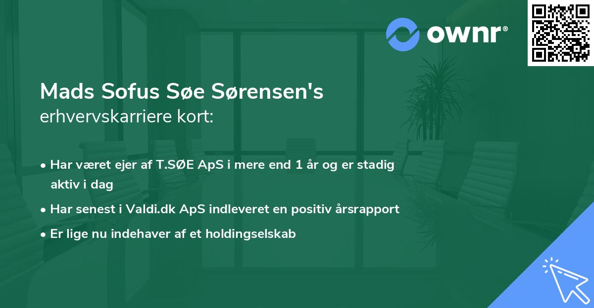 Mads Sofus Søe Sørensen's erhvervskarriere kort