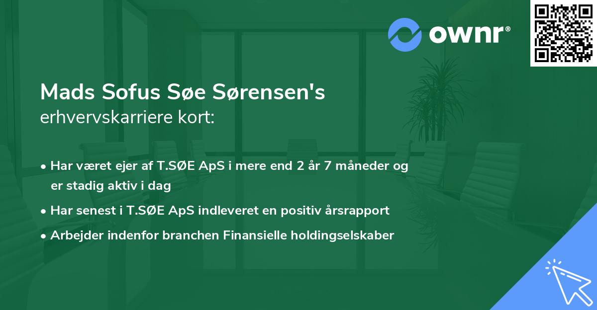 Mads Sofus Søe Sørensen's erhvervskarriere kort