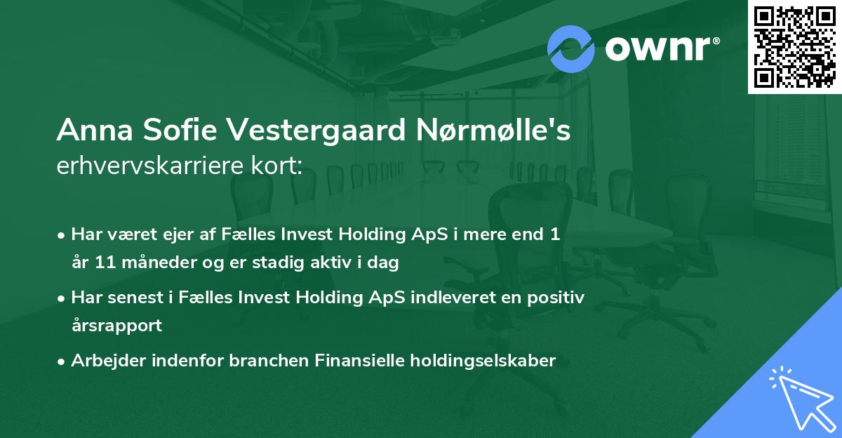 Anna Sofie Vestergaard Nørmølle's erhvervskarriere kort