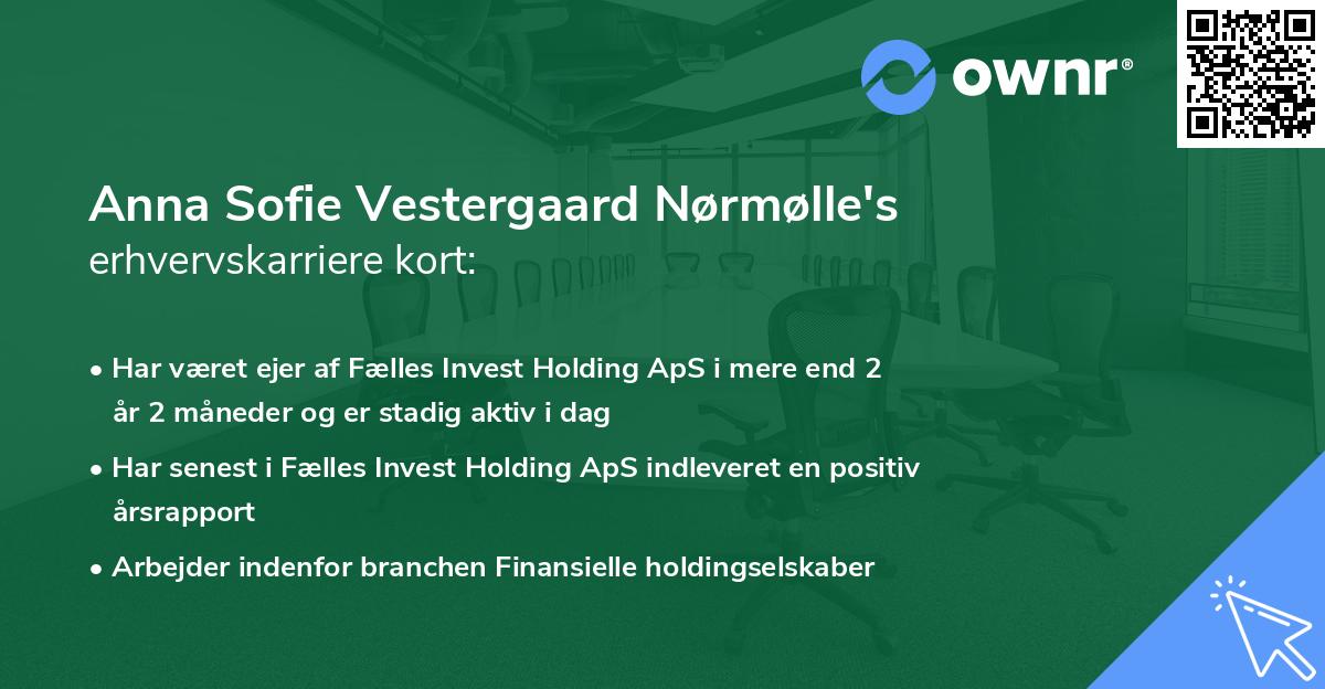 Anna Sofie Vestergaard Nørmølle's erhvervskarriere kort