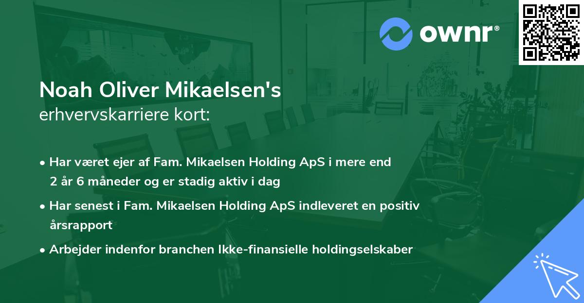 Noah Oliver Mikaelsen's erhvervskarriere kort