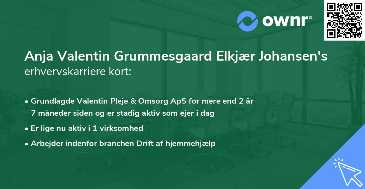 Anja Valentin Grummesgaard Elkjær Johansen's erhvervskarriere kort