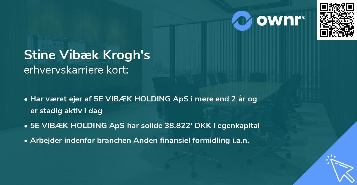 Stine Vibæk Krogh's erhvervskarriere kort