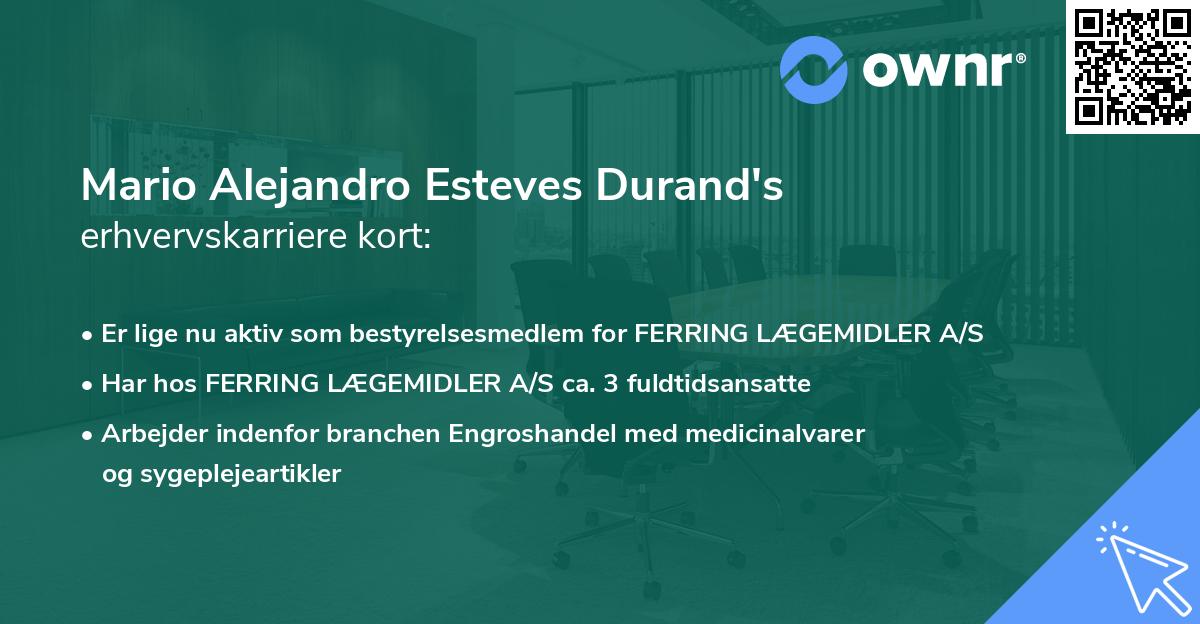 Mario Alejandro Esteves Durand's erhvervskarriere kort