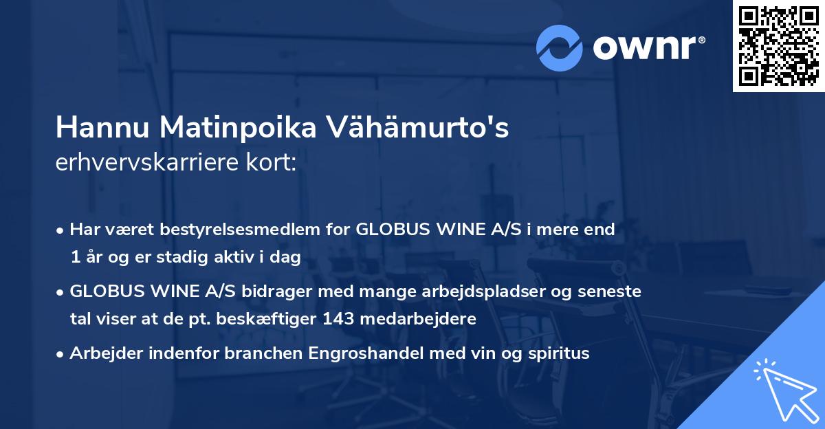 Hannu Matinpoika Vähämurto's erhvervskarriere kort