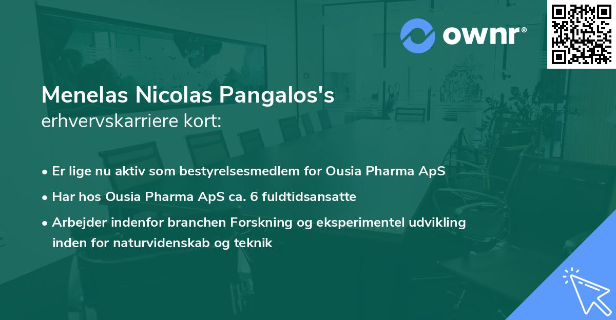 Menelas Nicolas Pangalos's erhvervskarriere kort