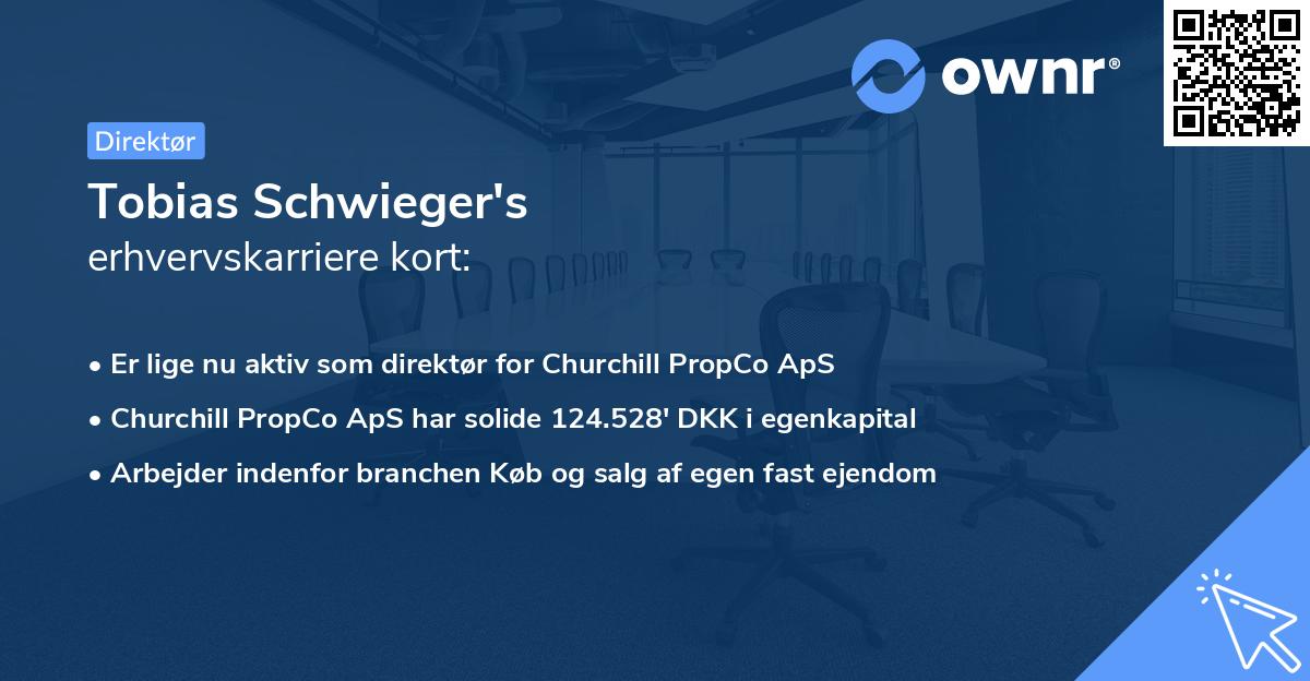 Tobias Schwieger's erhvervskarriere kort