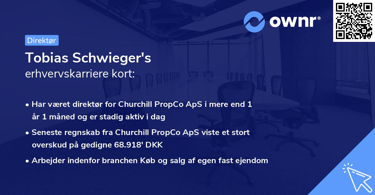 Tobias Schwieger's erhvervskarriere kort