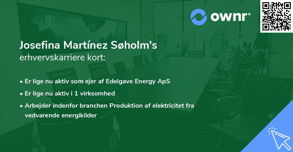 Josefina Martínez Søholm's erhvervskarriere kort